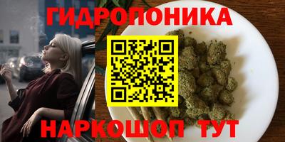 ALPHA PVP Камень-на-Оби