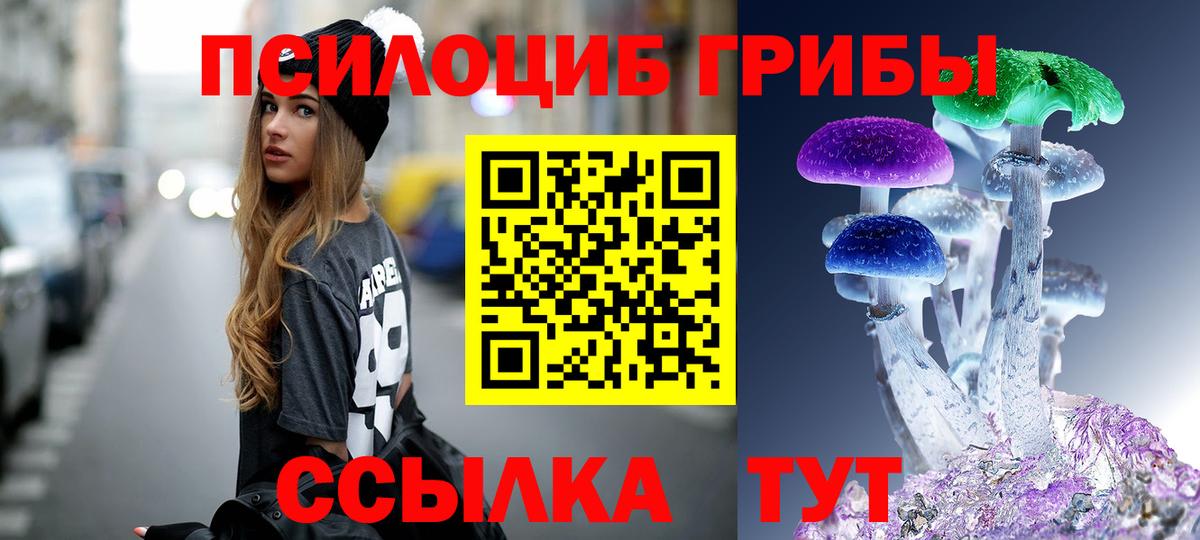 Псилоцибиновые грибы Psilocybe  Псилоцибиновые грибы мицелий  Вольск  как найти   Вход с VPN 